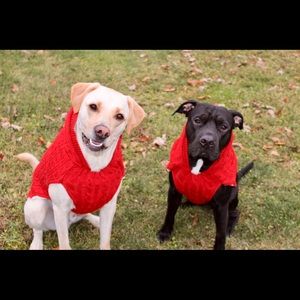 Meet your Posher, Tim